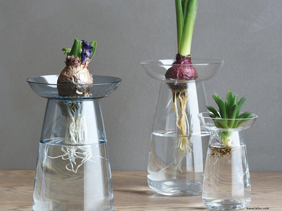 Fathom Editors  Must-Have Japanese Products Right Now