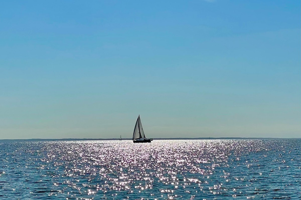 Discover 5 Unforgettable Nautical Adventures on the Chesapeake Bay This Summer