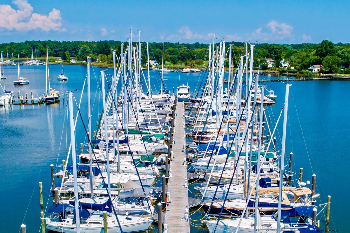 Discover 5 Unforgettable Nautical Adventures on the Chesapeake Bay This Summer