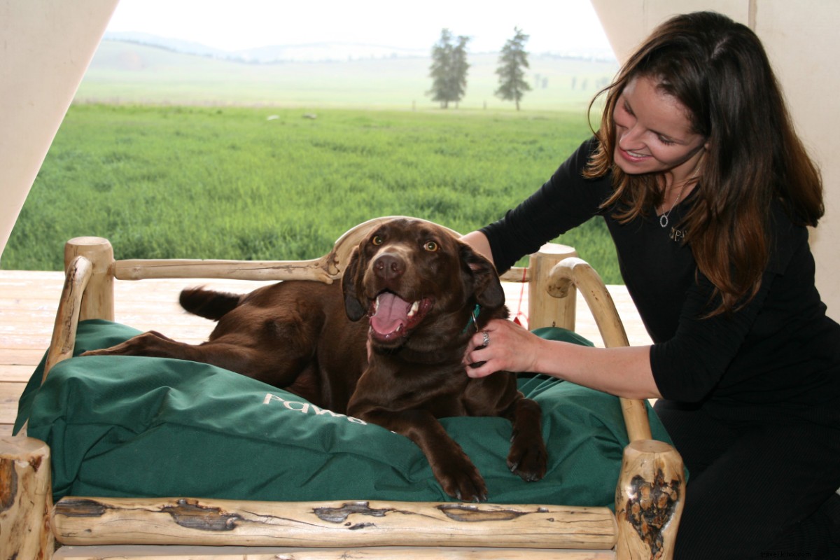 23 Top Dog-Friendly Summer Travel Destinations for You and Your Pup