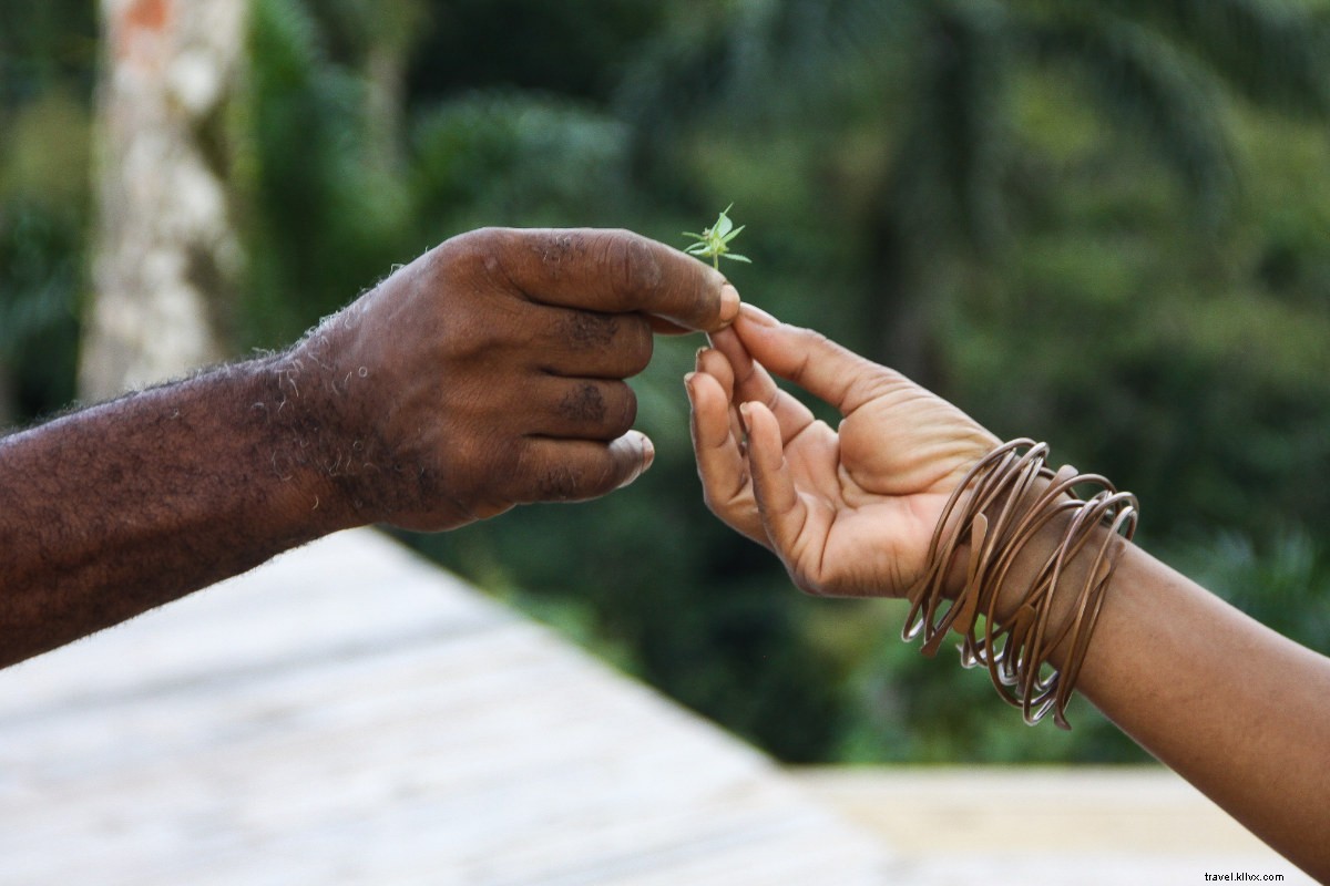 Embracing Rastafari Wellness: Timeless Jamaican Secrets for Vitality and Balance