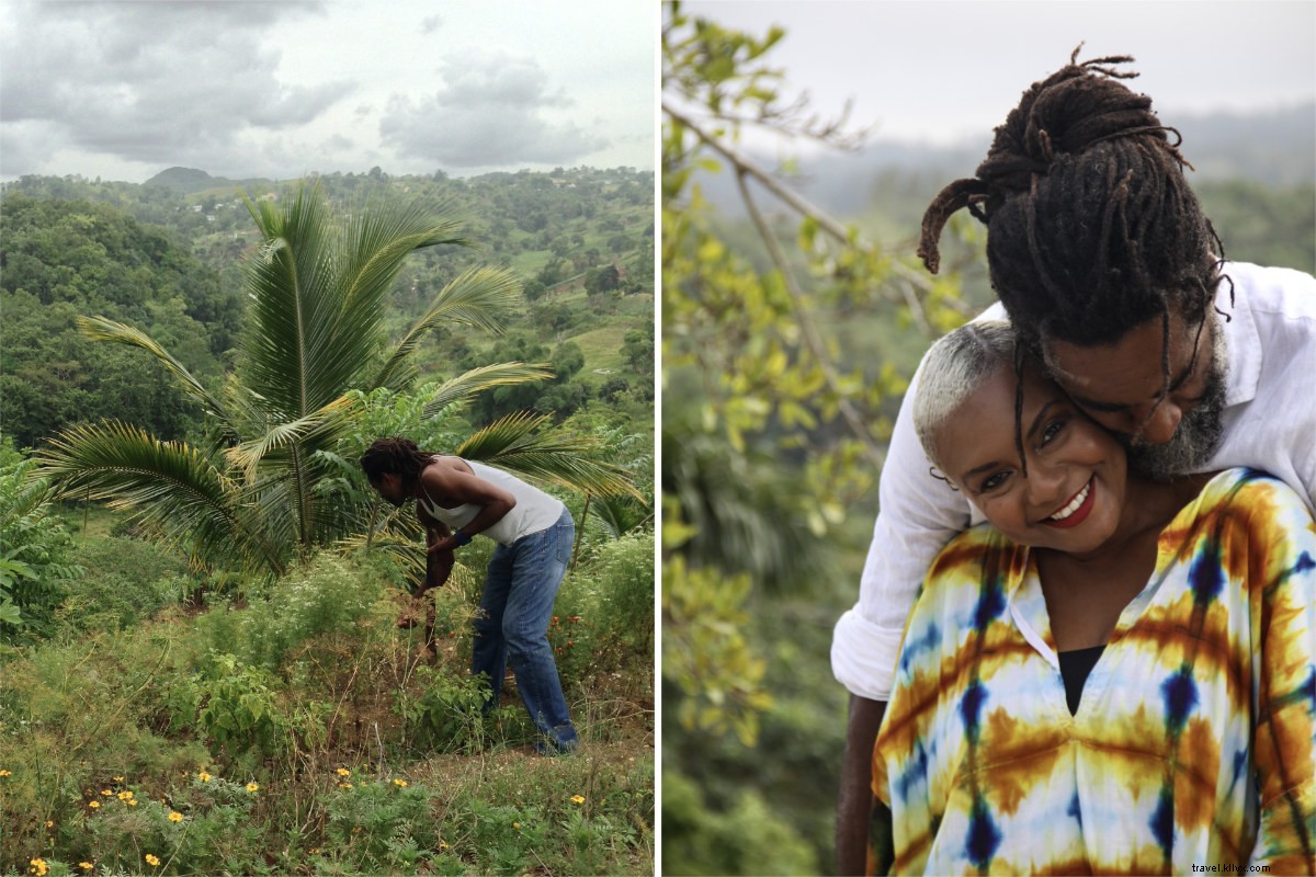 Embracing Rastafari Wellness: Timeless Jamaican Secrets for Vitality and Balance