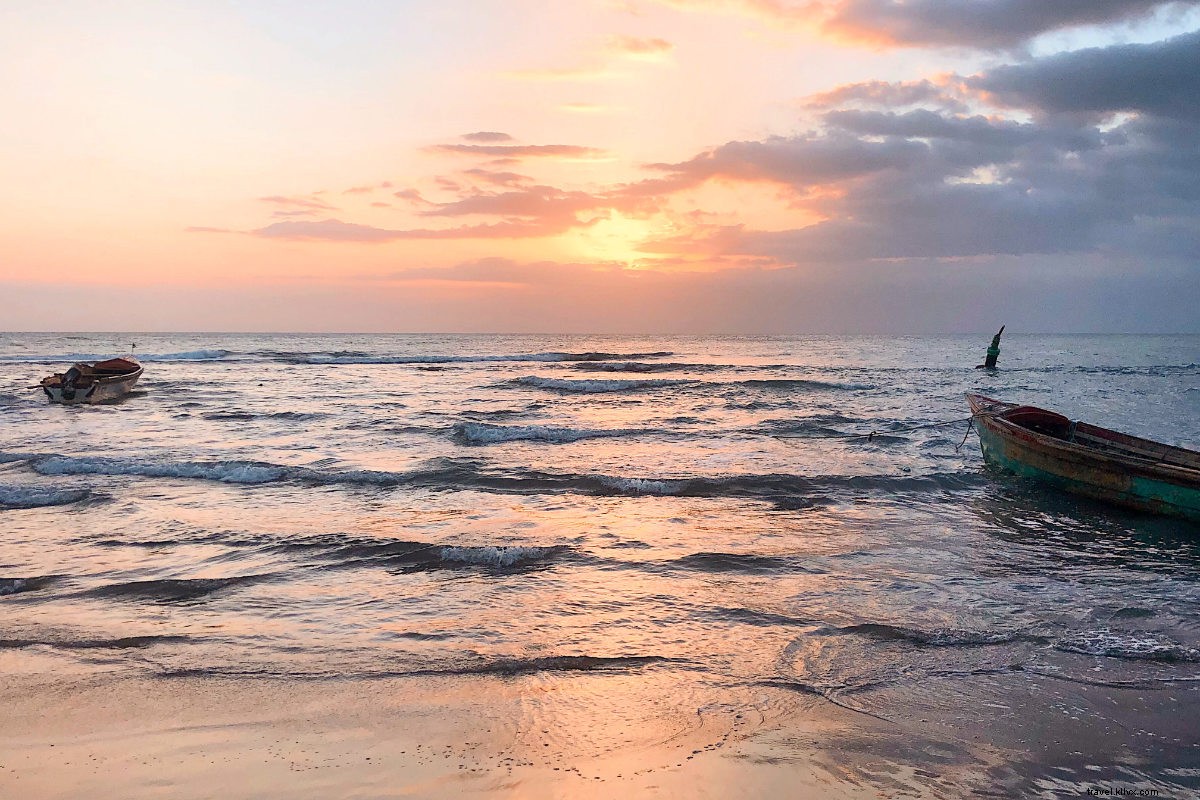 Embracing Rastafari Wellness: Timeless Jamaican Secrets for Vitality and Balance