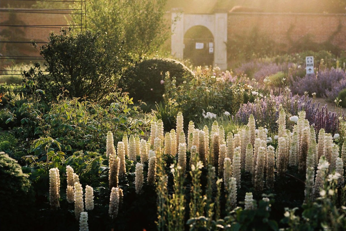 Round of Applause: Celebrating Travel Companies Driving Positive Global Change