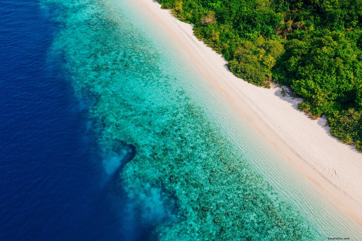 Round of Applause: Celebrating Travel Companies Driving Positive Global Change