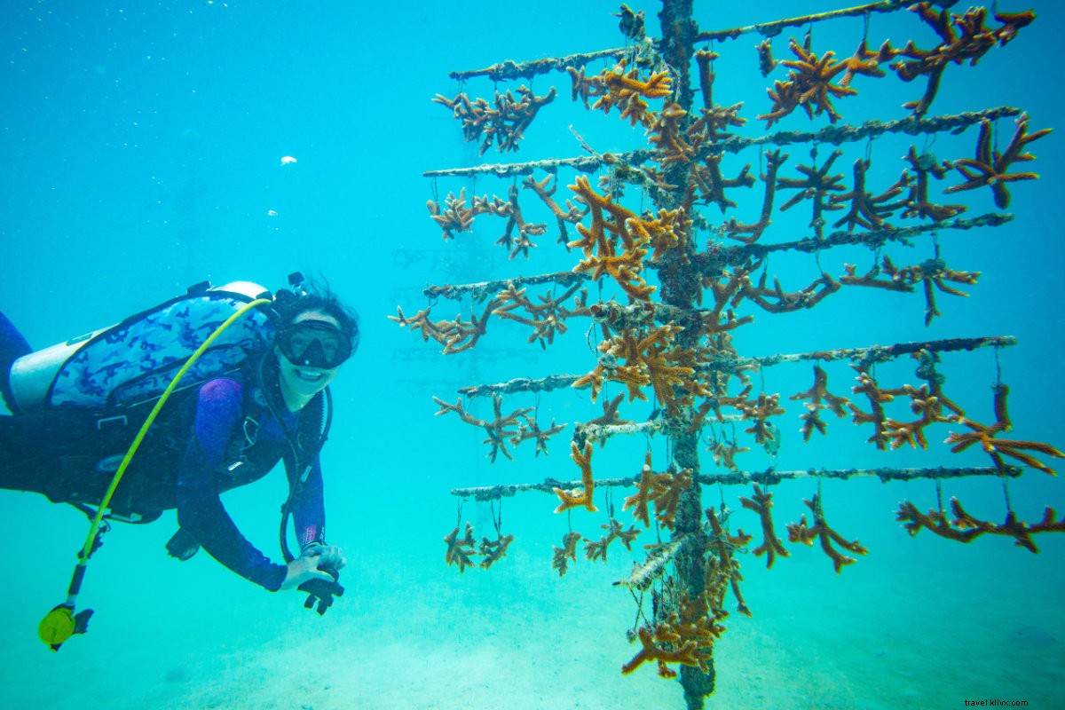 Round of Applause: Celebrating Travel Companies Driving Positive Global Change