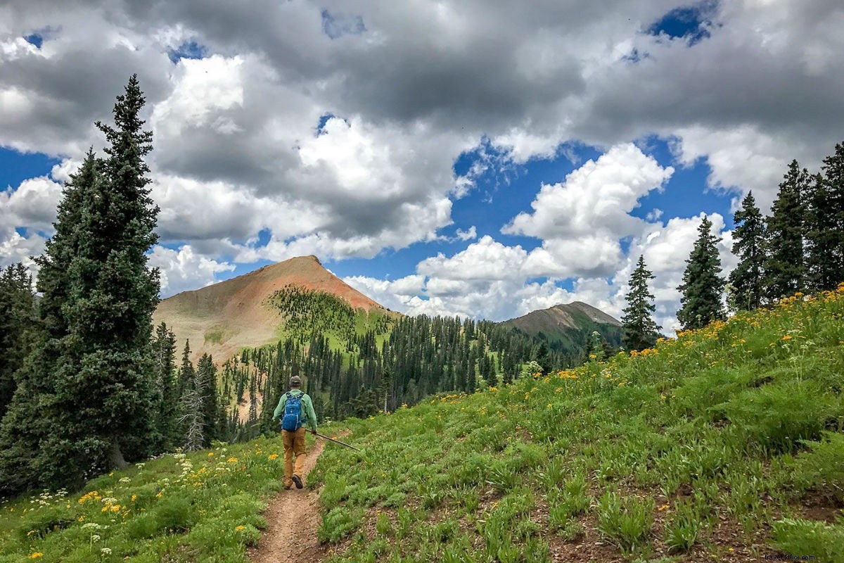 Round of Applause: Celebrating Travel Companies Driving Positive Global Change