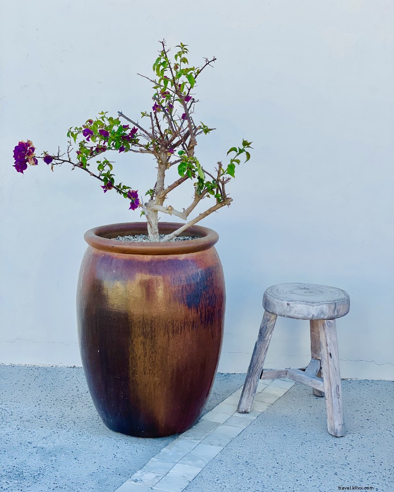 Discover Paradise: Four Seasons Resort Los Cabos at Costa Palmas