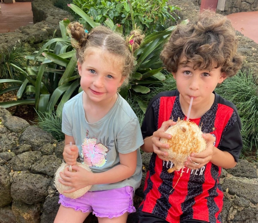 Safe Kauai Family Vacations: Guide to Socially Distant Hawaiian Escapes