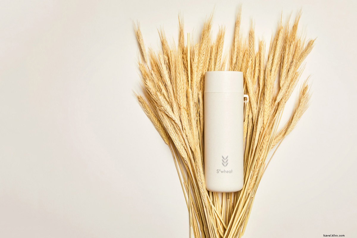 Eco-Friendly Swaps: Plastic-Free Alternatives for Essential Travel Gear (Vol. 2)