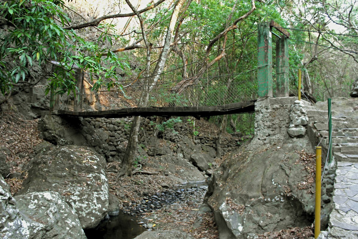 From Guerrilla Fighter to Forest Guide: An Inspiring Journey in El Salvador s Cinquera Forest