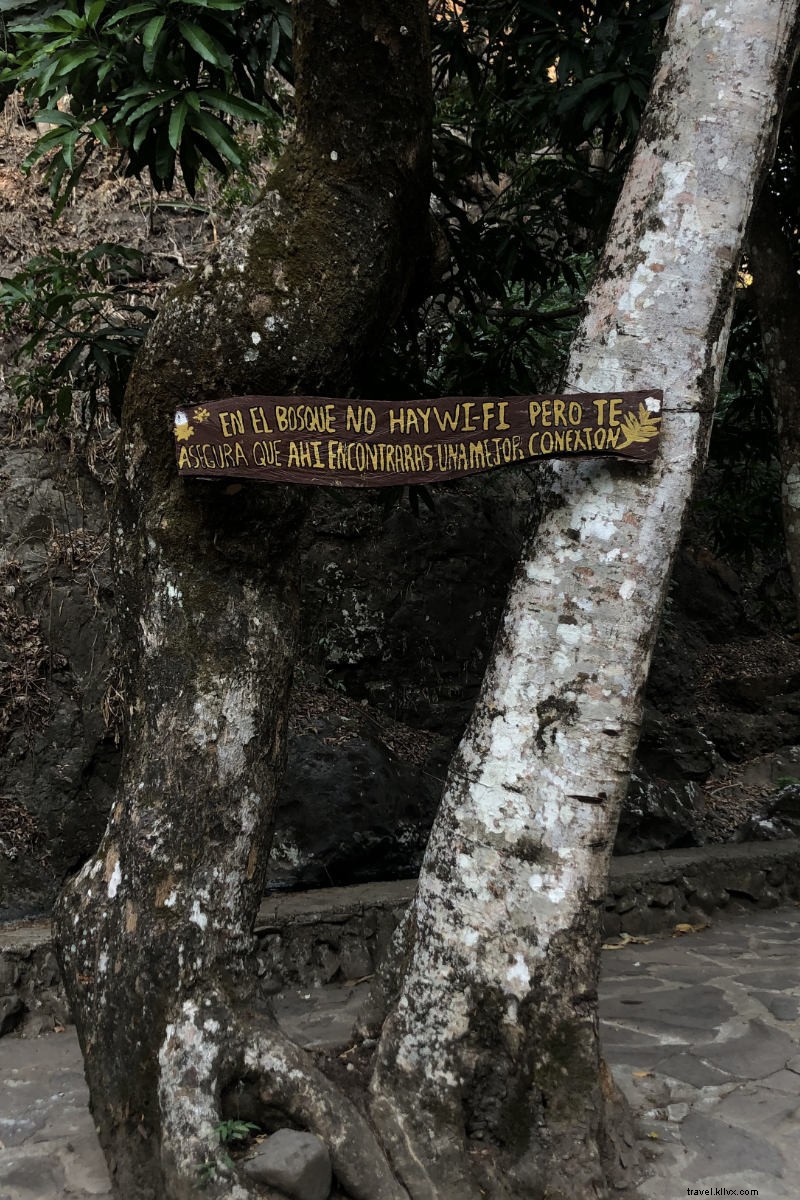 From Guerrilla Fighter to Forest Guide: An Inspiring Journey in El Salvador s Cinquera Forest