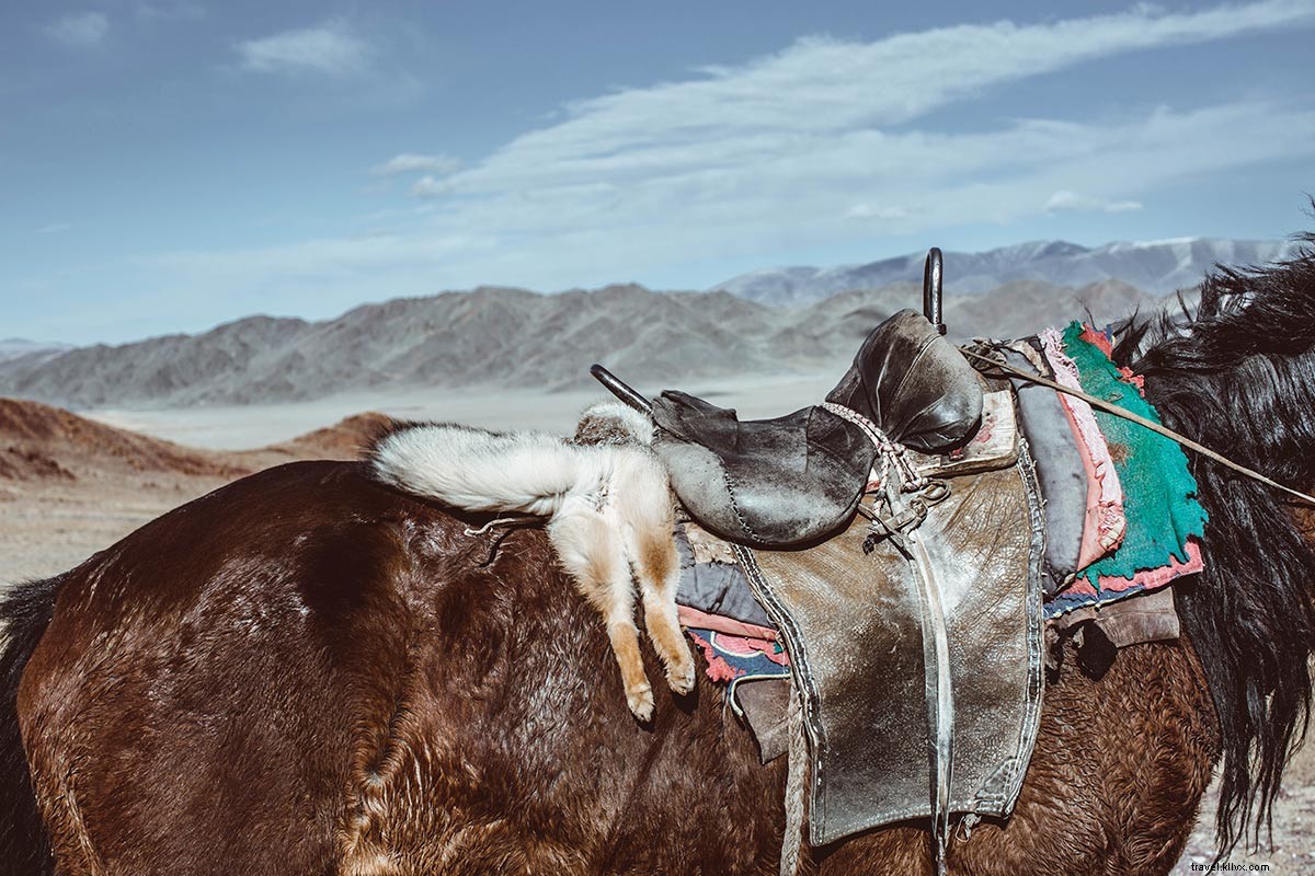Golden Eagle Hunting in Mongolia s Altai Mountains: Adventure with Travel Photographer Breanna Wilson