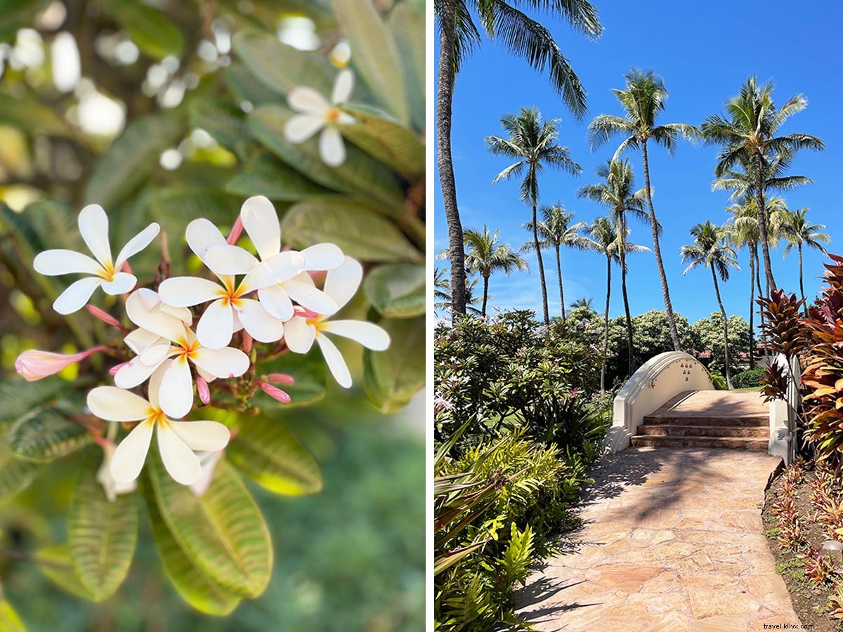 Grand Wailea: Where the Authentic Aloha Spirit Thrives on Maui