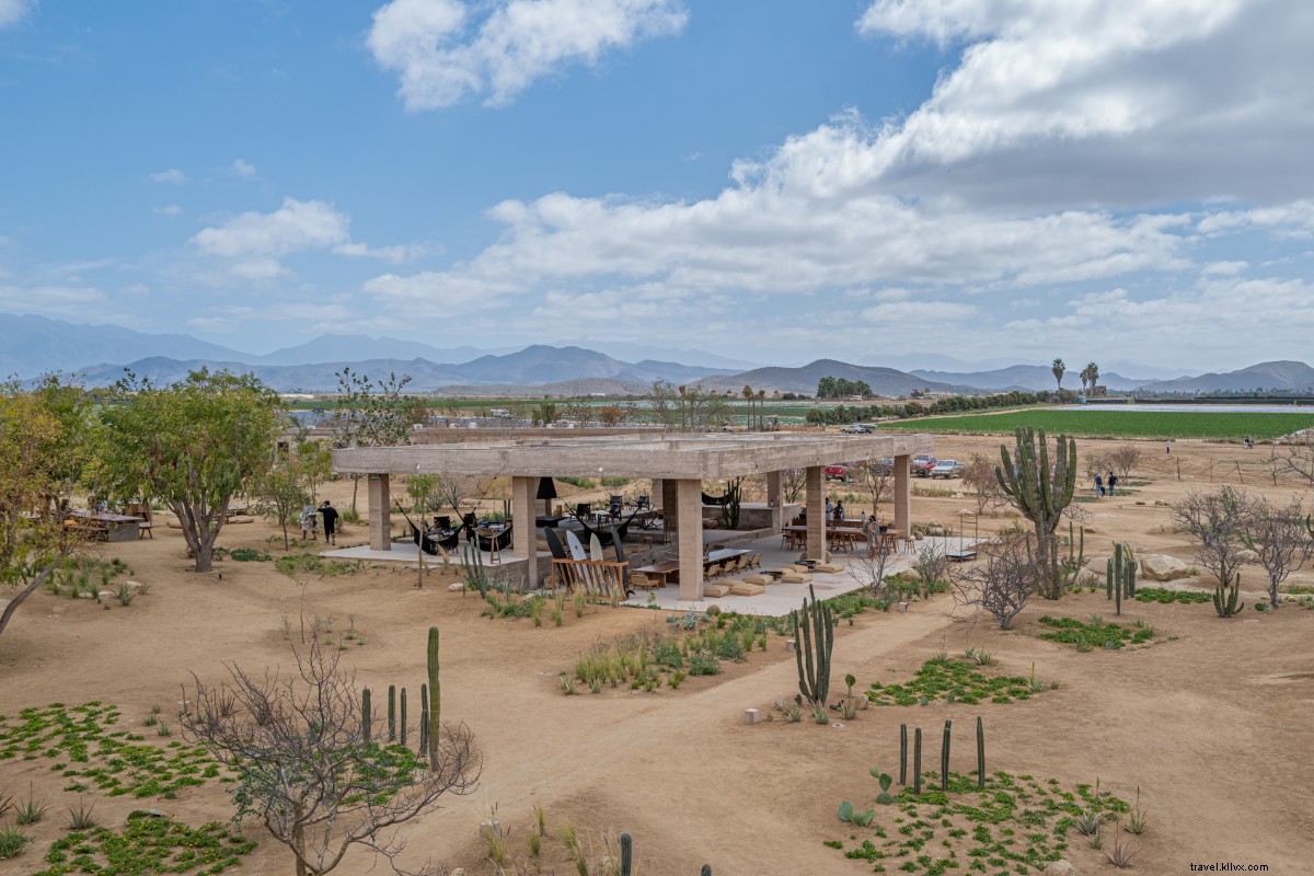 Paradero Todos Santos: Ultimate Baja Luxury Escape from Seattle Snow
