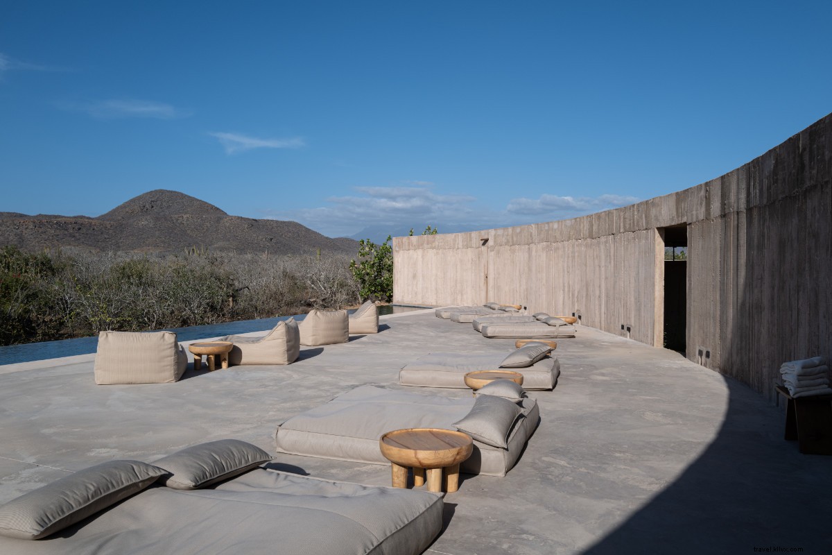 Paradero Todos Santos: Ultimate Baja Luxury Escape from Seattle Snow