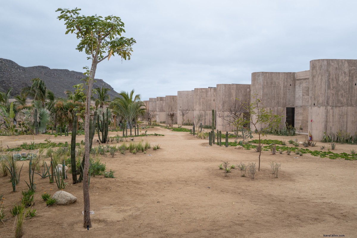 Paradero Todos Santos: Ultimate Baja Luxury Escape from Seattle Snow