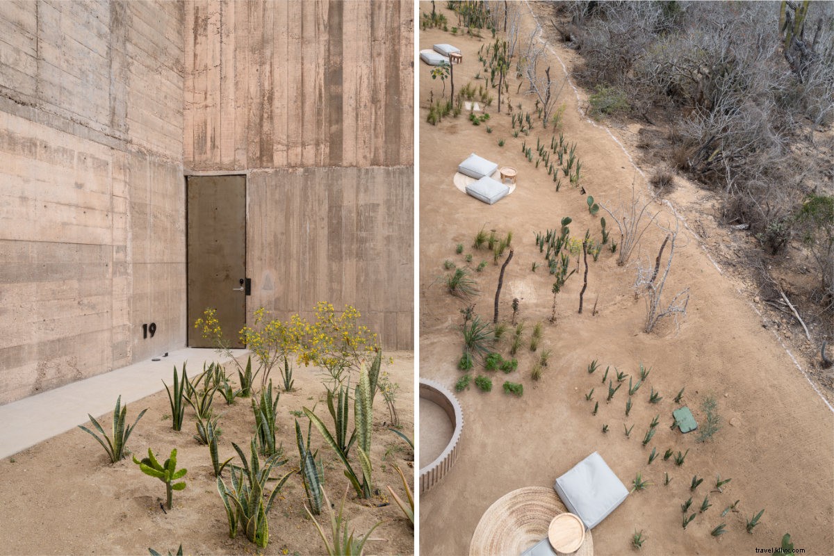 Paradero Todos Santos: Ultimate Baja Luxury Escape from Seattle Snow