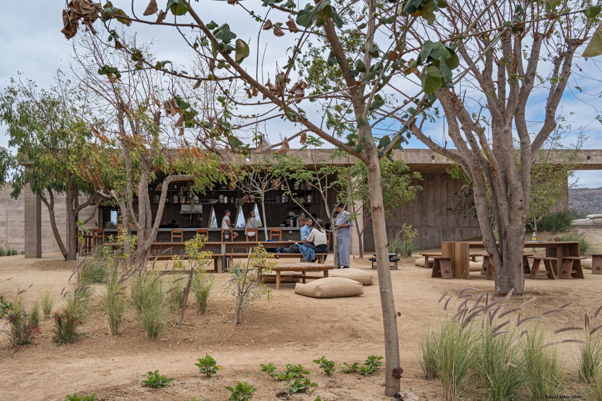 Paradero Todos Santos: Ultimate Baja Luxury Escape from Seattle Snow