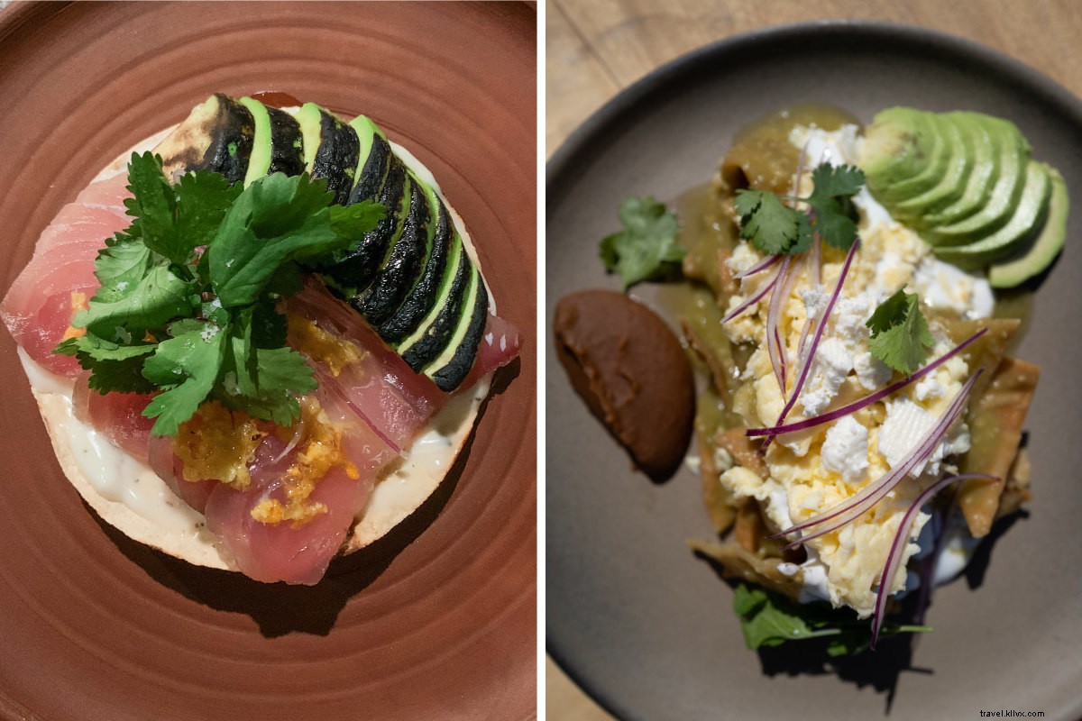 Paradero Todos Santos: Ultimate Baja Luxury Escape from Seattle Snow