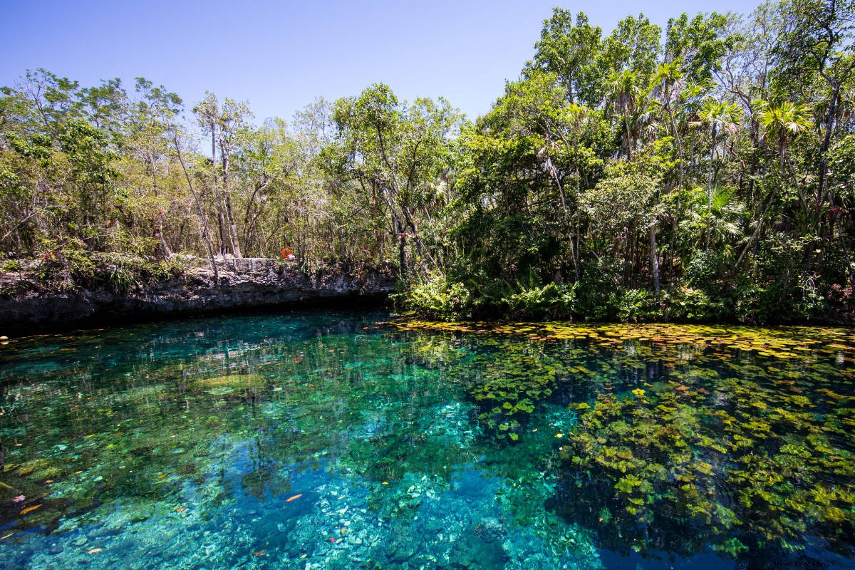 Discover Wellness and Natural Wonders in Mexico s Caribbean Paradise