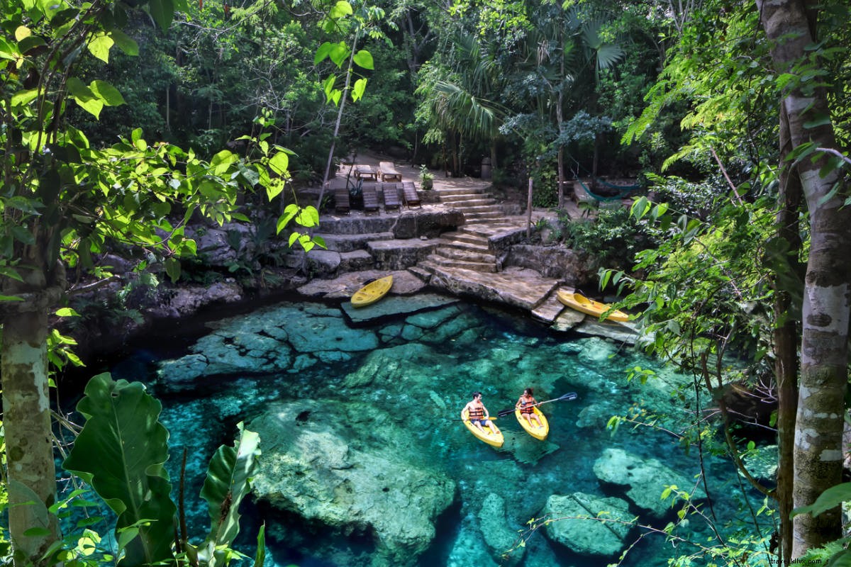 Discover Wellness and Natural Wonders in Mexico s Caribbean Paradise