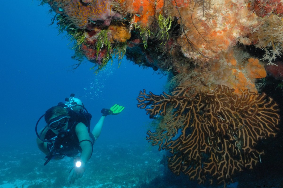 Discover Wellness and Natural Wonders in Mexico s Caribbean Paradise