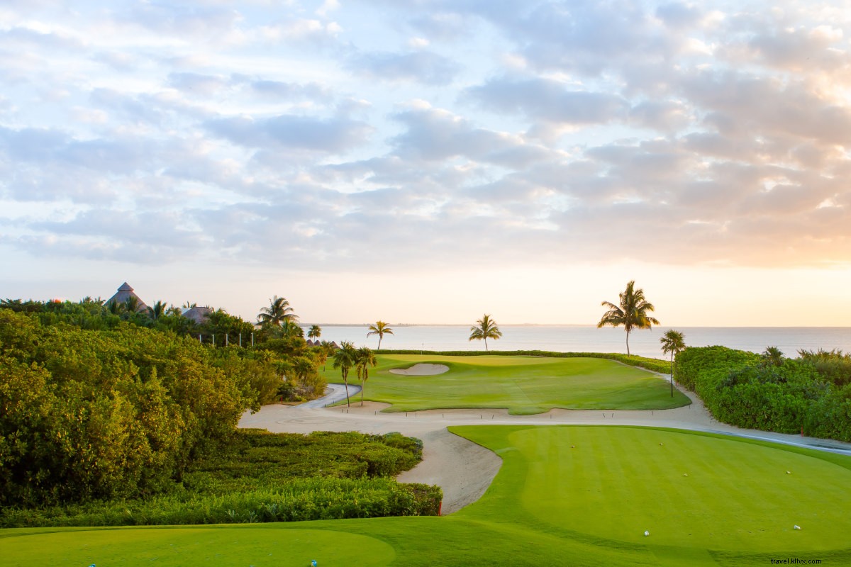 Discover Wellness and Natural Wonders in Mexico s Caribbean Paradise