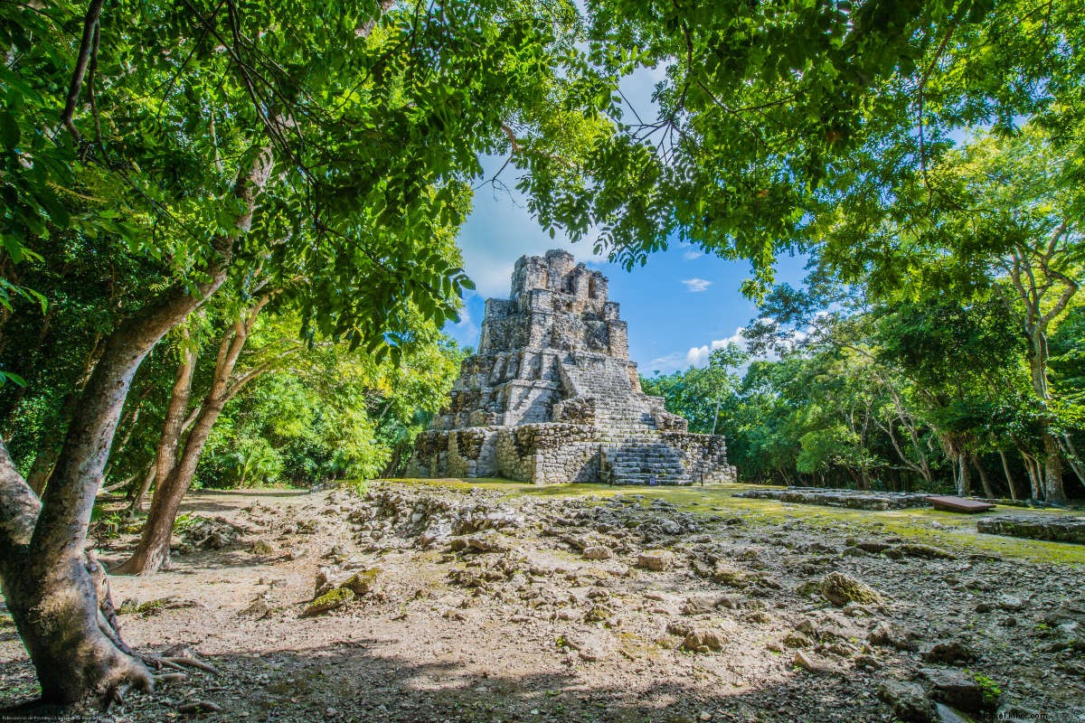 Discover Wellness and Natural Wonders in Mexico s Caribbean Paradise