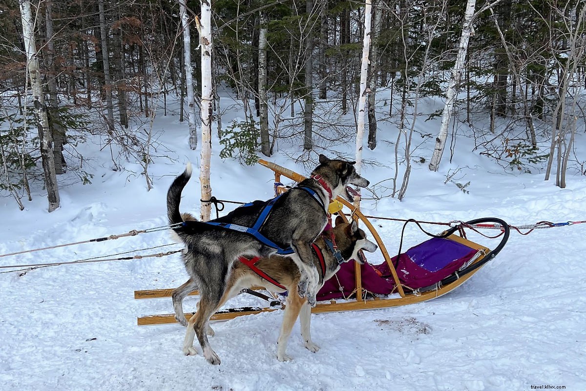 Ultimate Winter Adventures: Skiing, Skating & Sledding in Charlevoix