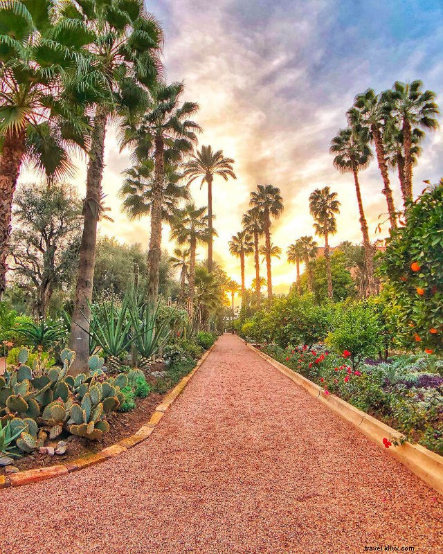 Marrakech During COVID-19: A Frequent Visitor s Take on the Good and Sad Changes