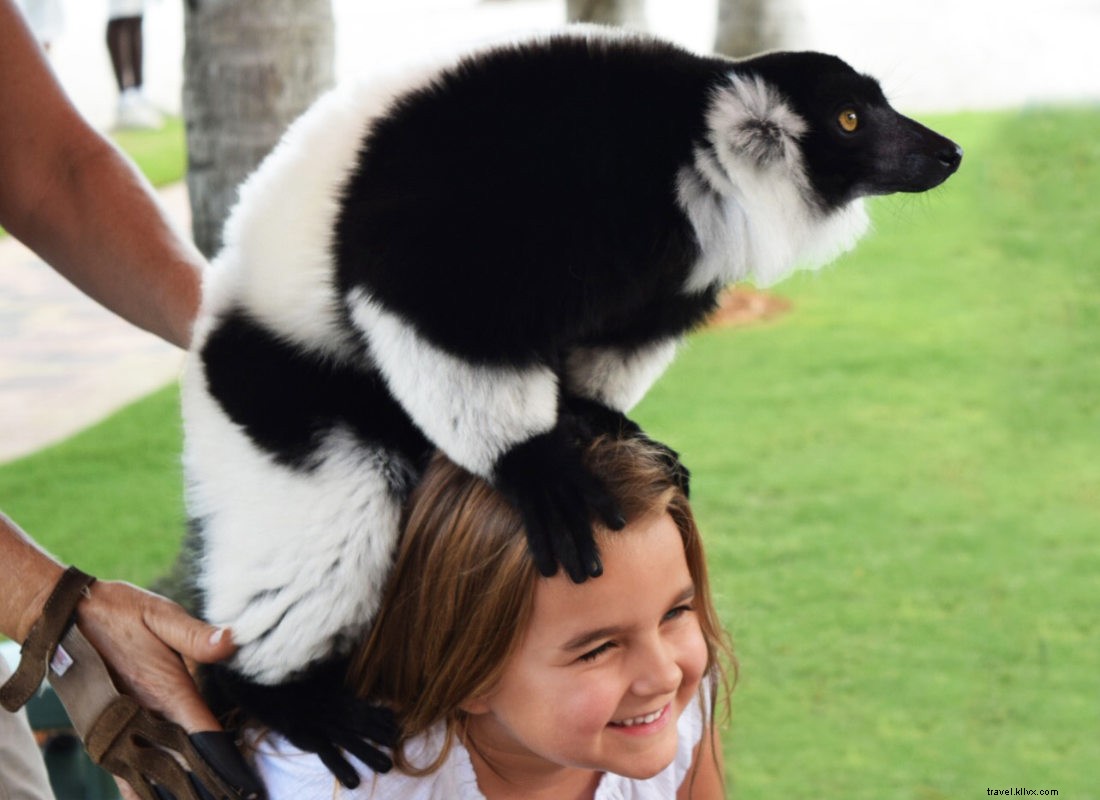 Acqualina Resort & Residences: Premier Family Luxury on Sunny Isles Beach