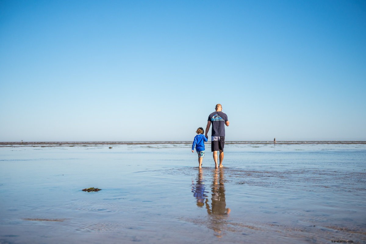 Ocean Edge Resort: Cape Cod s Ultimate Family Compound You Won t Want to Leave