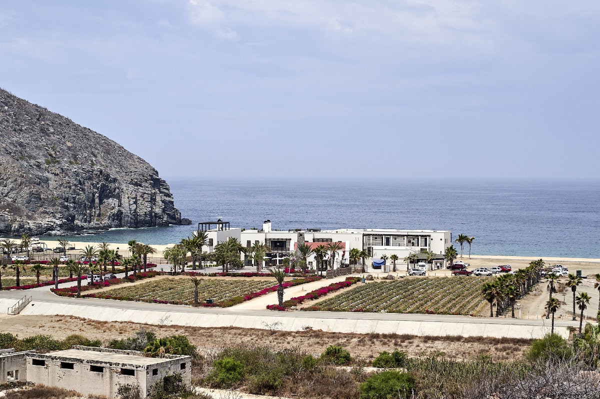 Hotel San Cristóbal: The Premier Eco-Chic Retreat in Todos Santos, Mexico