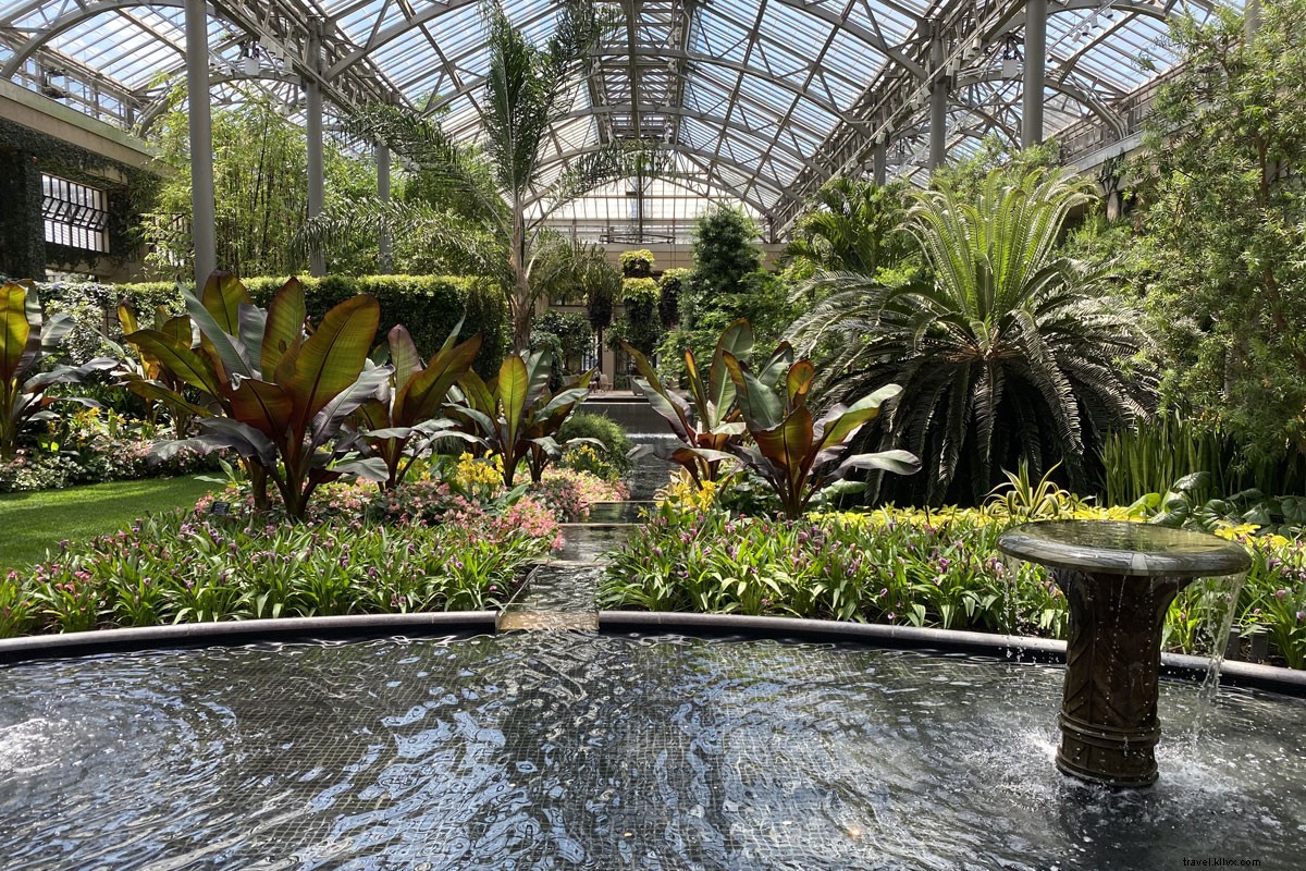 Longwood Gardens: A Du Pont Legacy of Colorful Blooms and Stunning Fountains