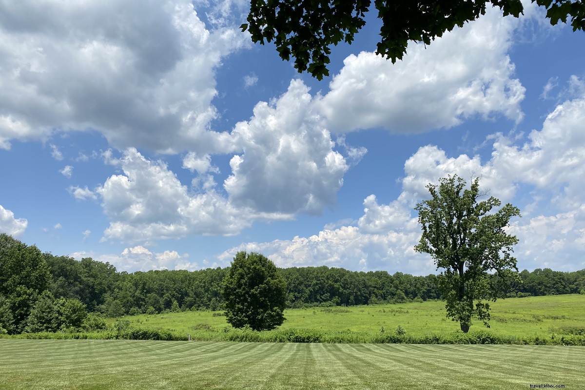 Longwood Gardens: A Du Pont Legacy of Colorful Blooms and Stunning Fountains