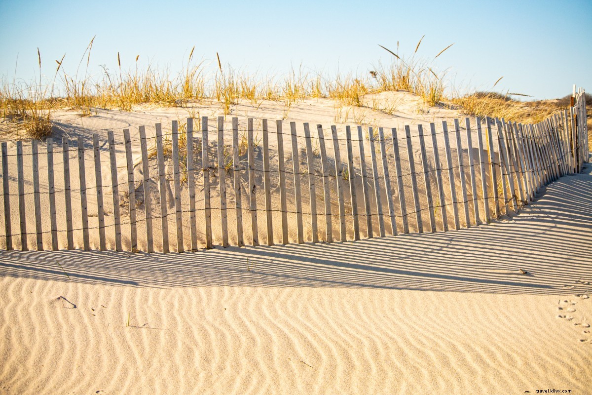 Ultimate Guide to a COVID-Safe Hamptons Summer Vacation