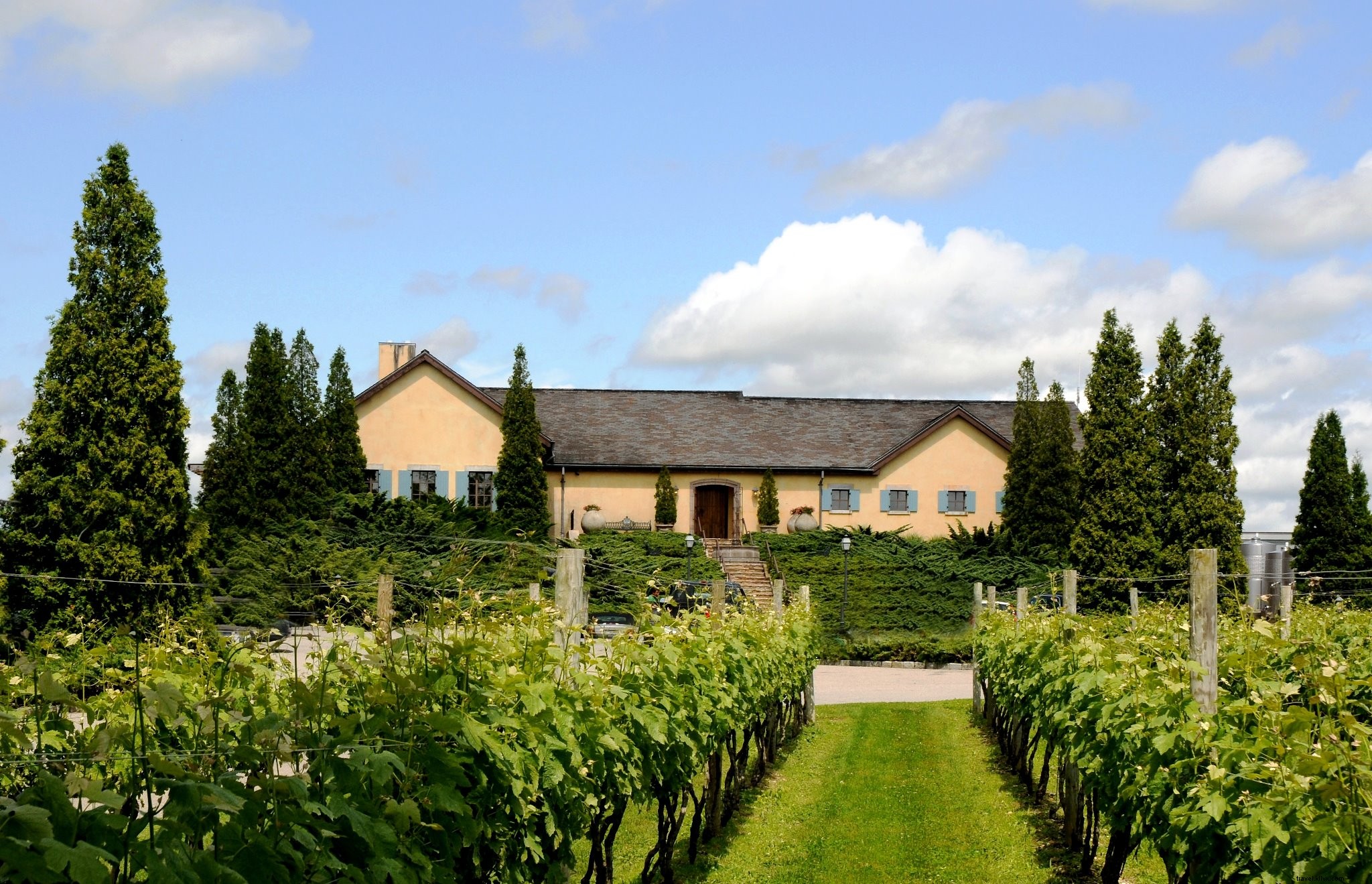 Ultimate Guide to a COVID-Safe Hamptons Summer Vacation