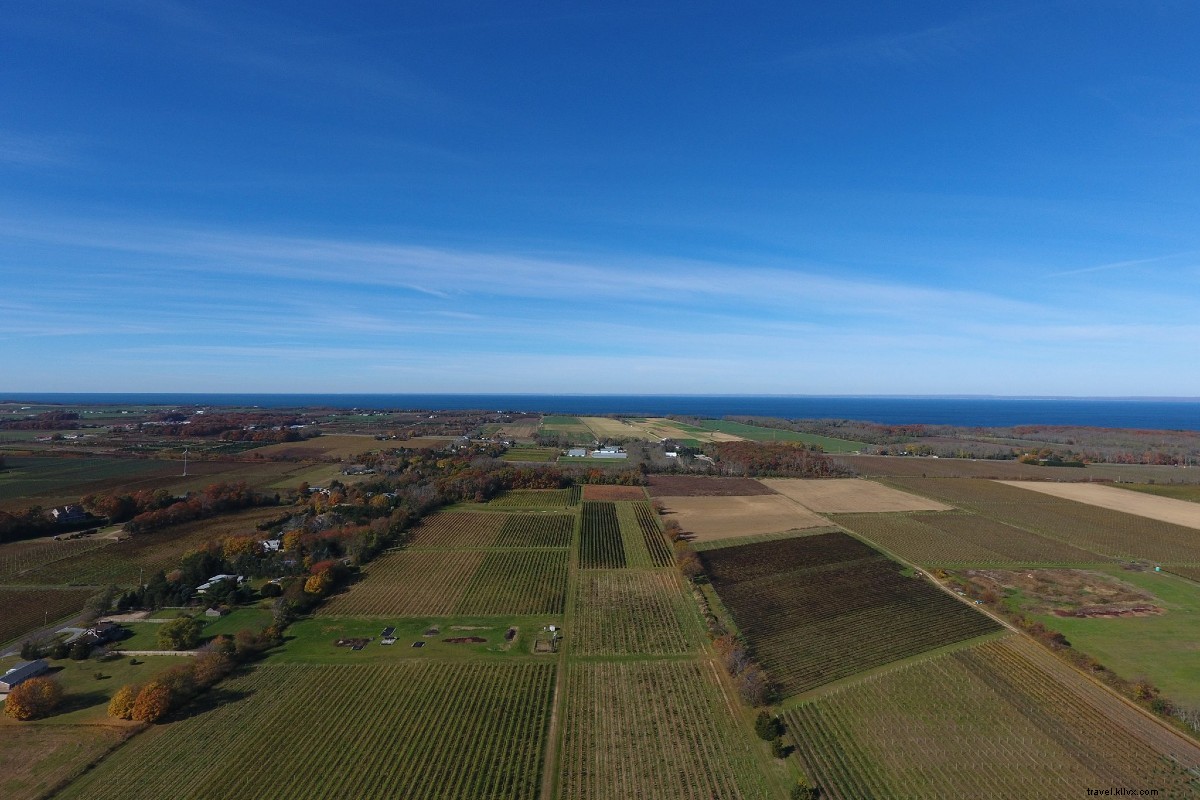 Essential Guide to Summer on Long Island s North Fork: Phase 2 Reopening and Beyond