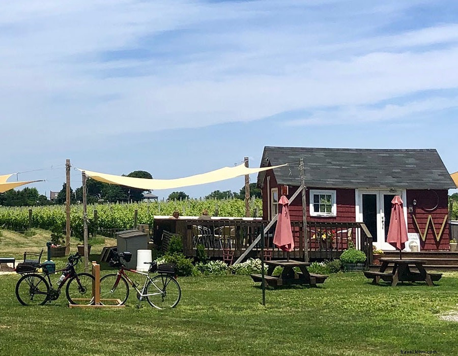 Essential Guide to Summer on Long Island s North Fork: Phase 2 Reopening and Beyond