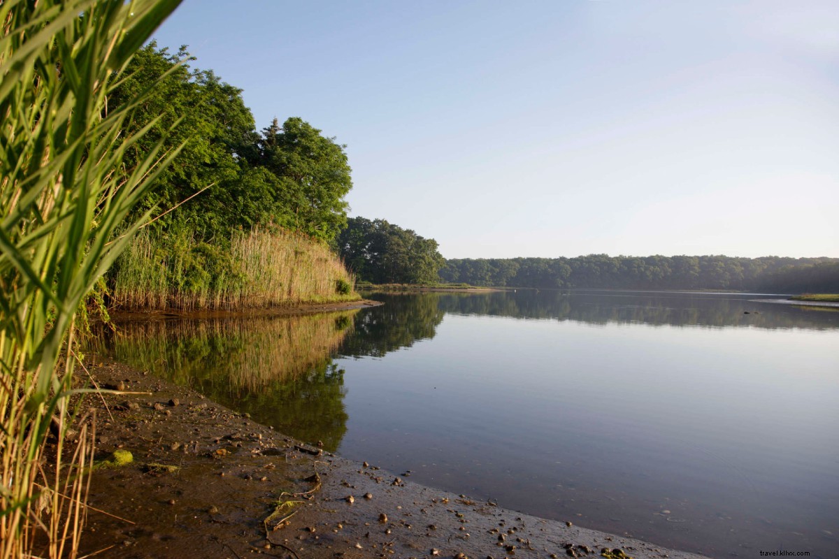 Essential Guide to Summer on Long Island s North Fork: Phase 2 Reopening and Beyond