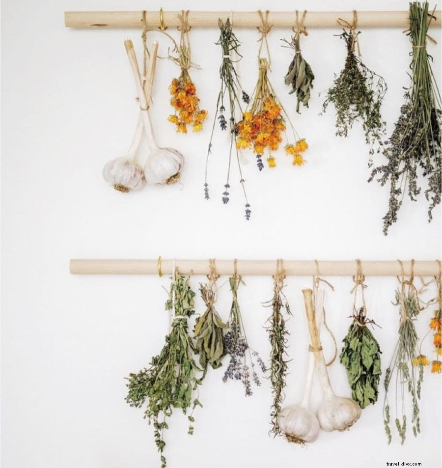 Essential Guide to Summer on Long Island s North Fork: Phase 2 Reopening and Beyond