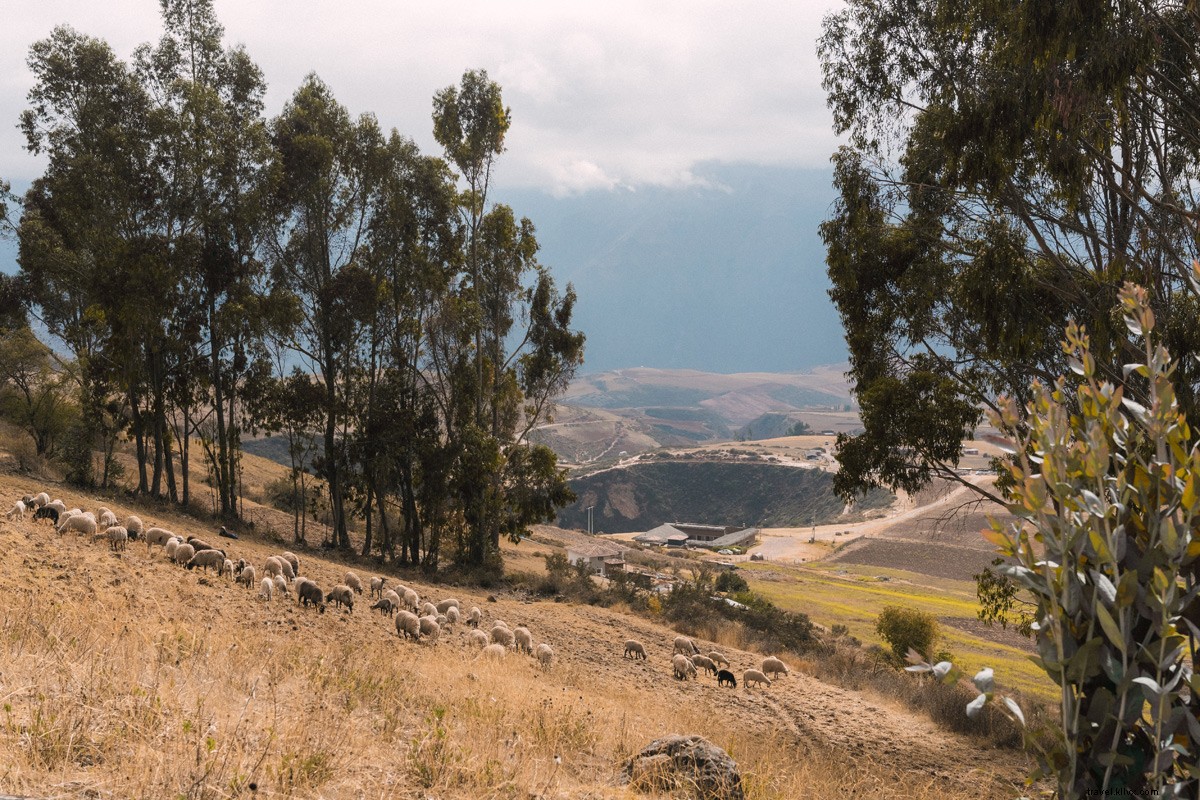 Peru s Sacred Valley: Immersive Explora Hotel Elevates Culinary Delights and Adventures
