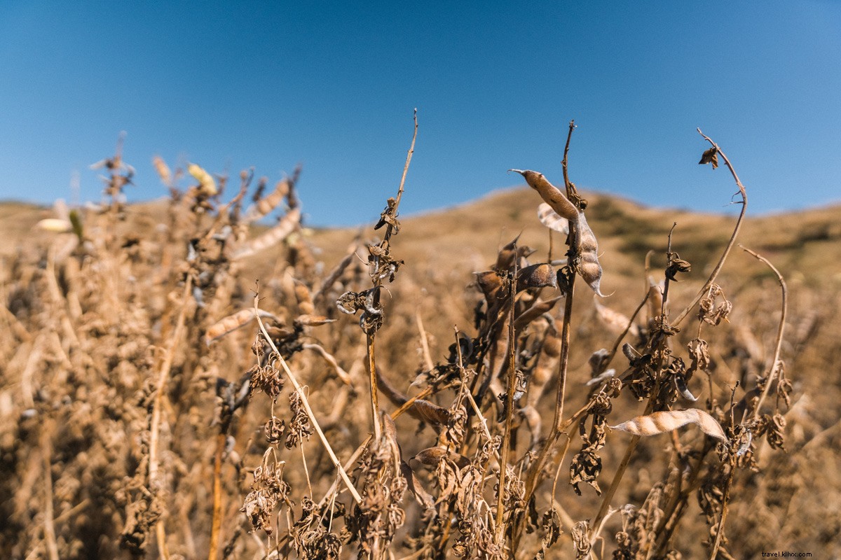 Peru s Sacred Valley: Immersive Explora Hotel Elevates Culinary Delights and Adventures