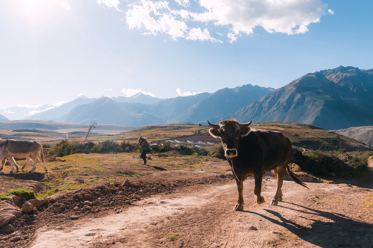 Peru s Sacred Valley: Immersive Explora Hotel Elevates Culinary Delights and Adventures