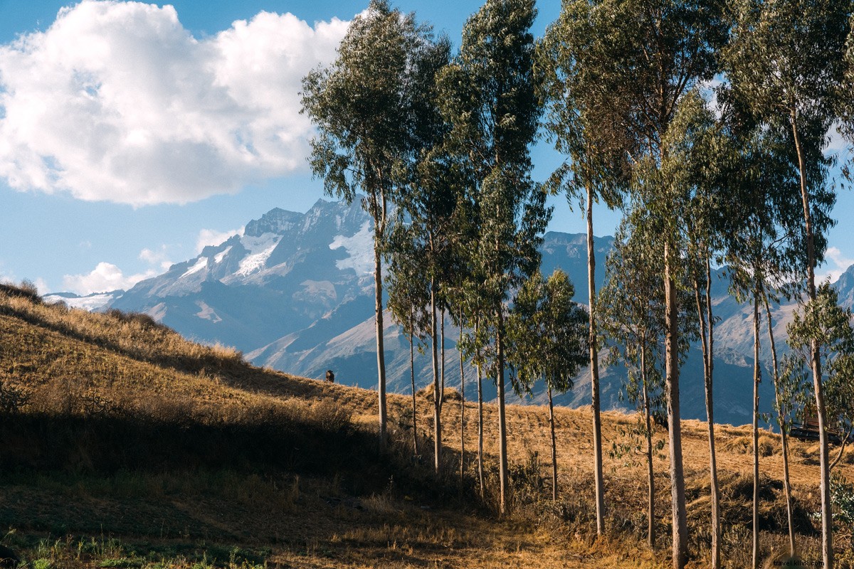 Peru s Sacred Valley: Immersive Explora Hotel Elevates Culinary Delights and Adventures