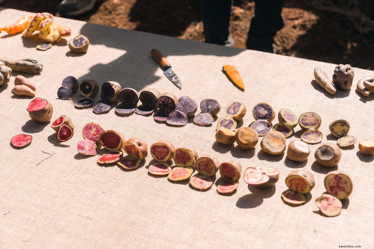 Peru s Sacred Valley: Immersive Explora Hotel Elevates Culinary Delights and Adventures