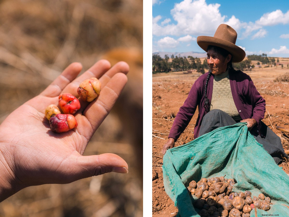Peru s Sacred Valley: Immersive Explora Hotel Elevates Culinary Delights and Adventures