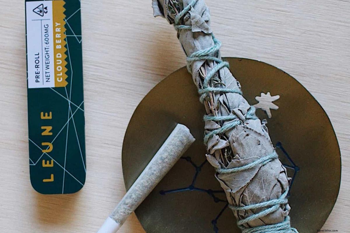 Trailblazing Women Leading the CBD Revolution: Meet the Visionaries