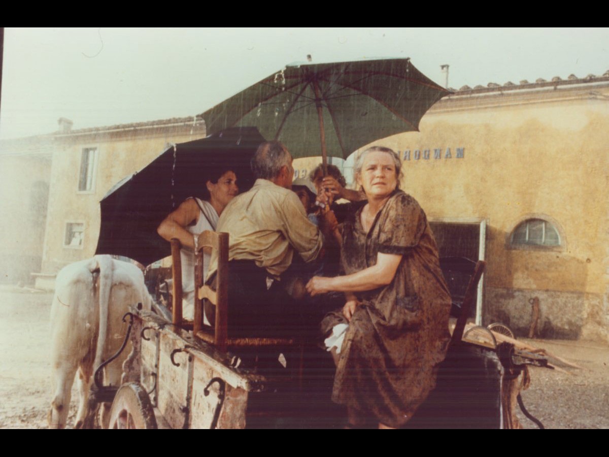 Escape from Your Sofa: Must-Watch Travel Movies for Armchair Adventurers